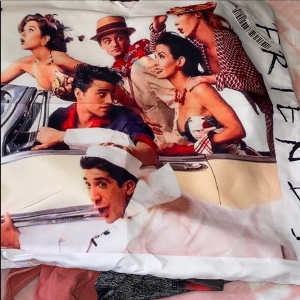 Friends pillow cover last one